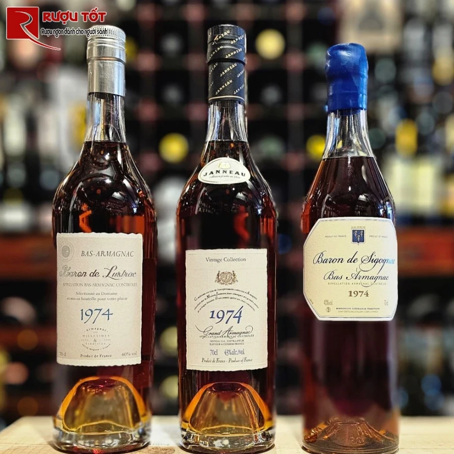 armagnac vintage