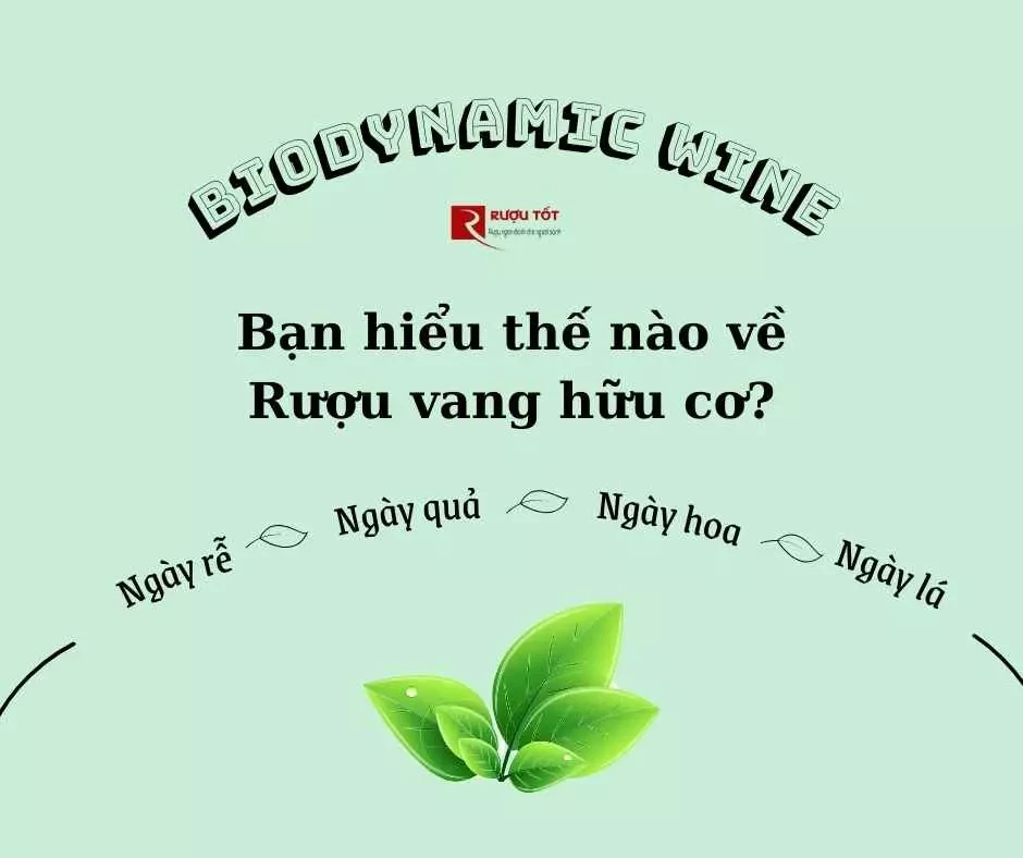 Rượu vang hữu cơ bìa