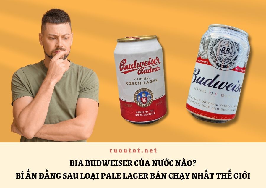 Bia Budweiser Của Nước Nào? Bí Ẩn Đằng Sau Loại Pale Lager Bán Chạy Nhất Thế Giới
