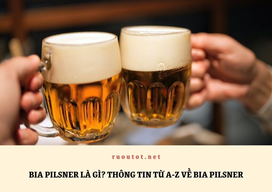 Bia Pilsner Là Gì? Thông Tin Từ A-Z Về Bia Pilsner