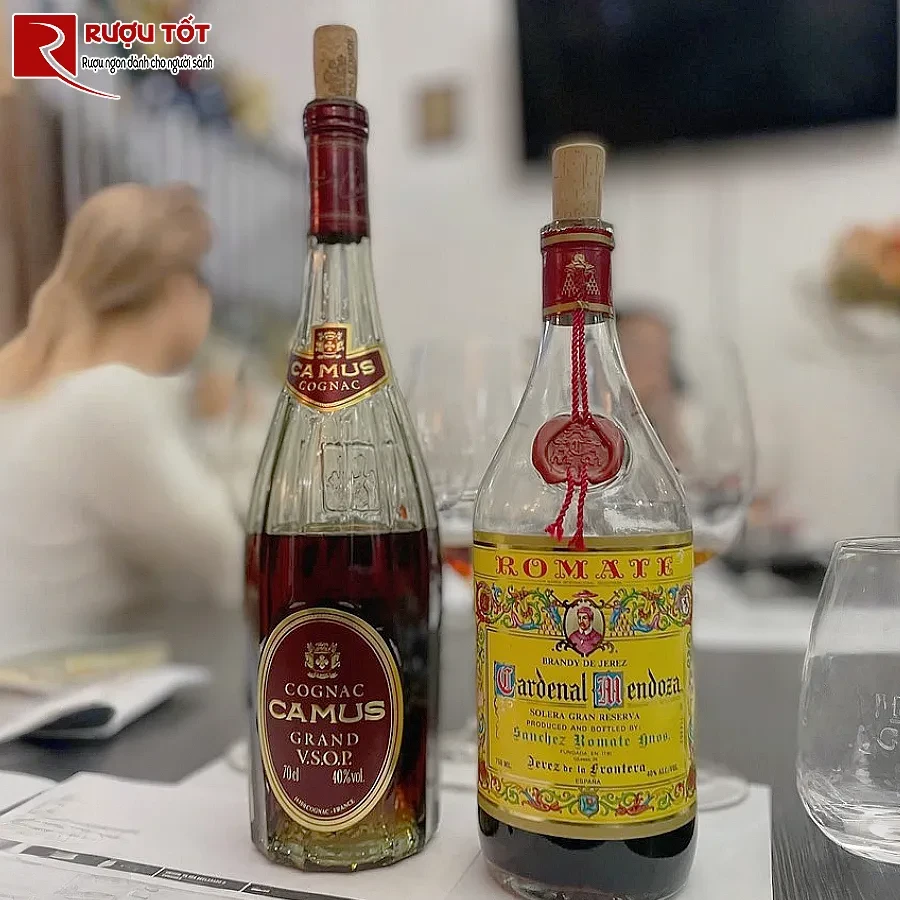 brandy vs cognac