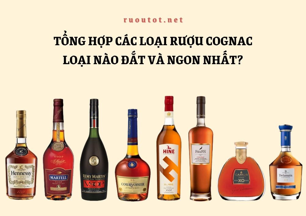 Tổng hợp các loại rượu cognac - Loại nào đắt và ngon nhất?