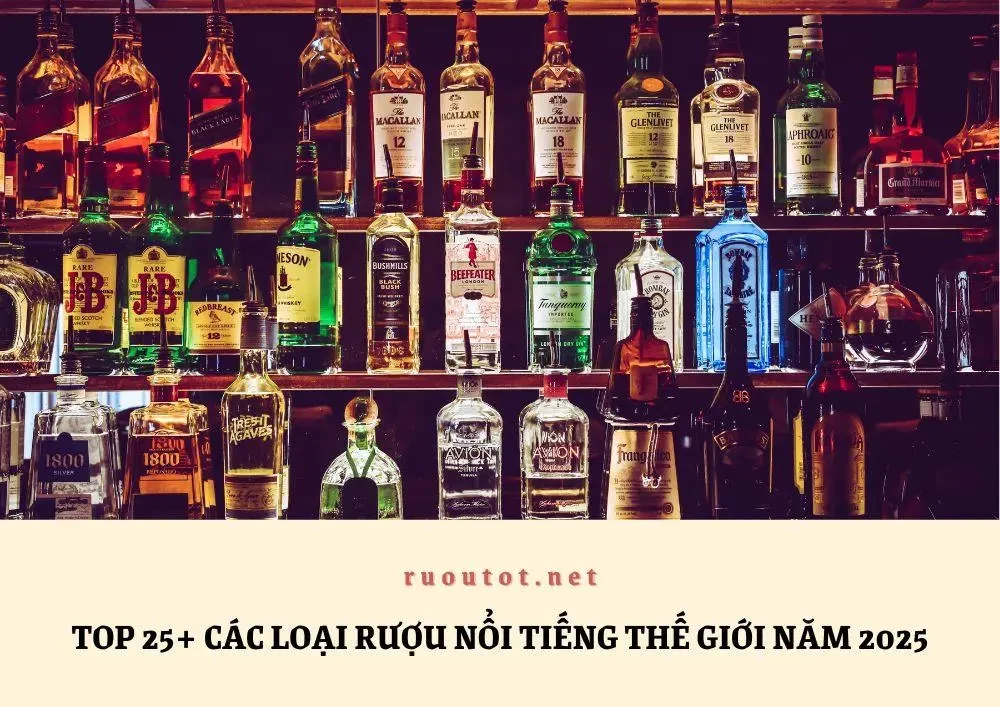 Top 25+ các loại rượu nổi tiếng thế giới năm 2025