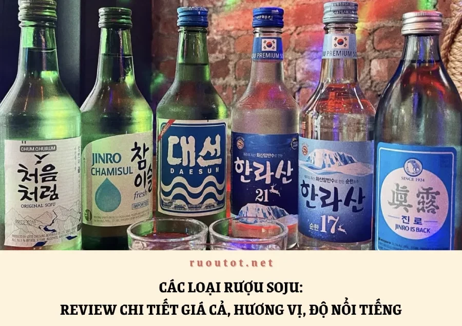 Các Loại Rượu Soju: Review Chi Tiết Giá Cả, Hương Vị, Độ Nổi Tiếng