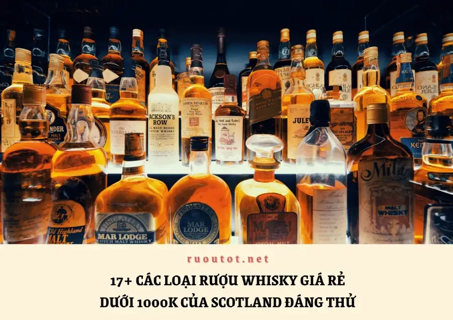 17+ Các loại rượu whisky giá rẻ dưới 1000K của Scotland đáng thử