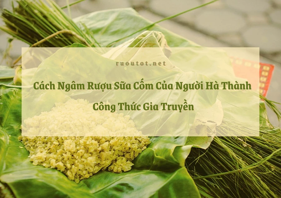 Cách Ngâm Rượu Sữa Cốm Của Người Hà Thành - Công Thức Gia Truyền