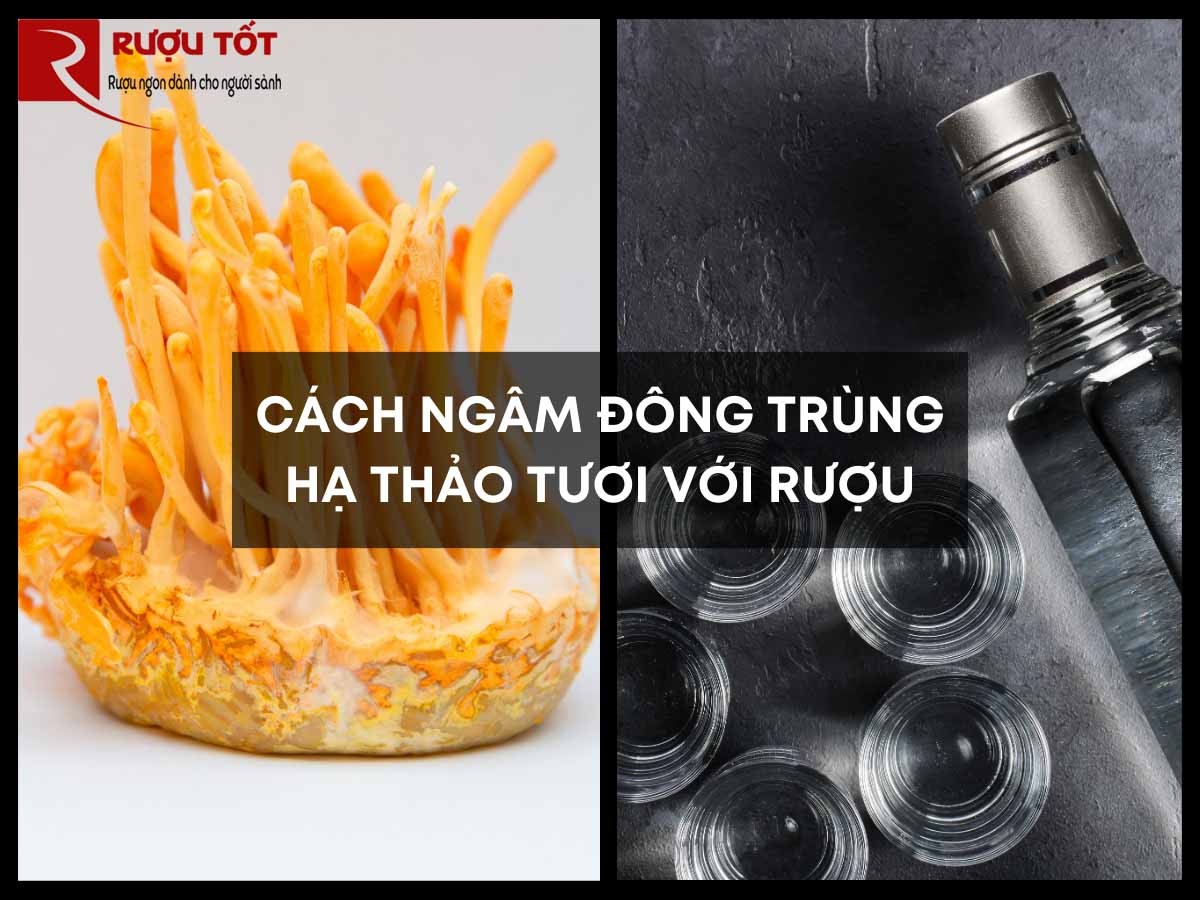 cach ngam đong trung ha thao tuoi voi ruou