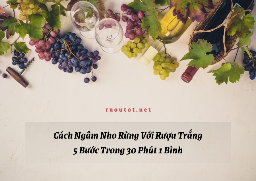 Cách Ngâm Nho Rừng Với Rượu Trắng 5 Bước Trong 30 Phút 1 Bình