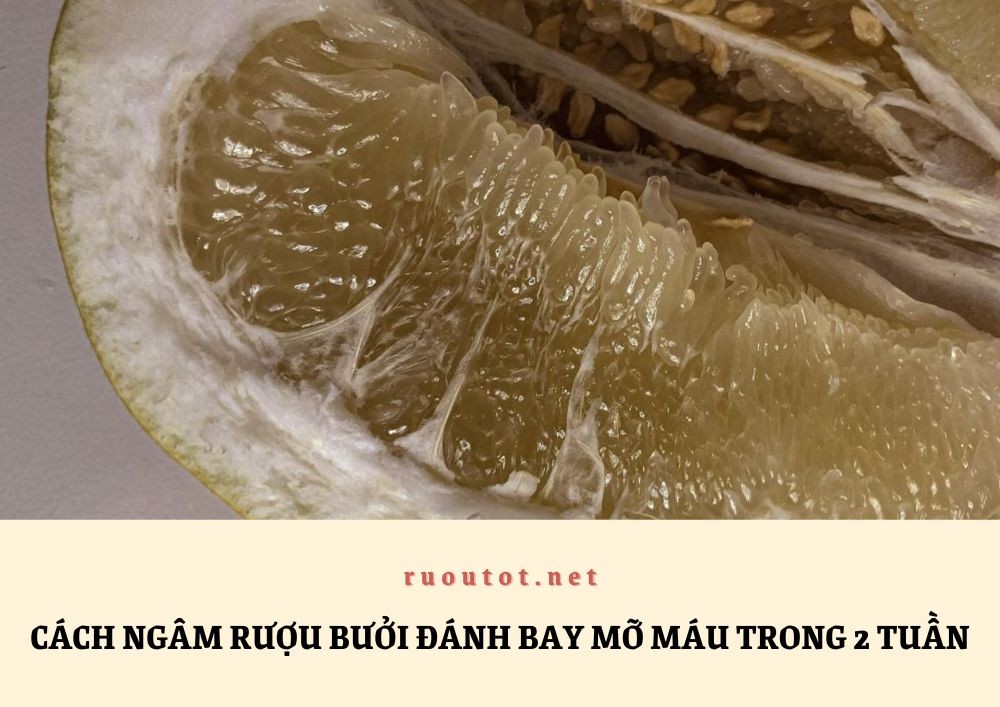 Cách ngâm rượu bưởi đánh bay mỡ máu trong 2 tuần