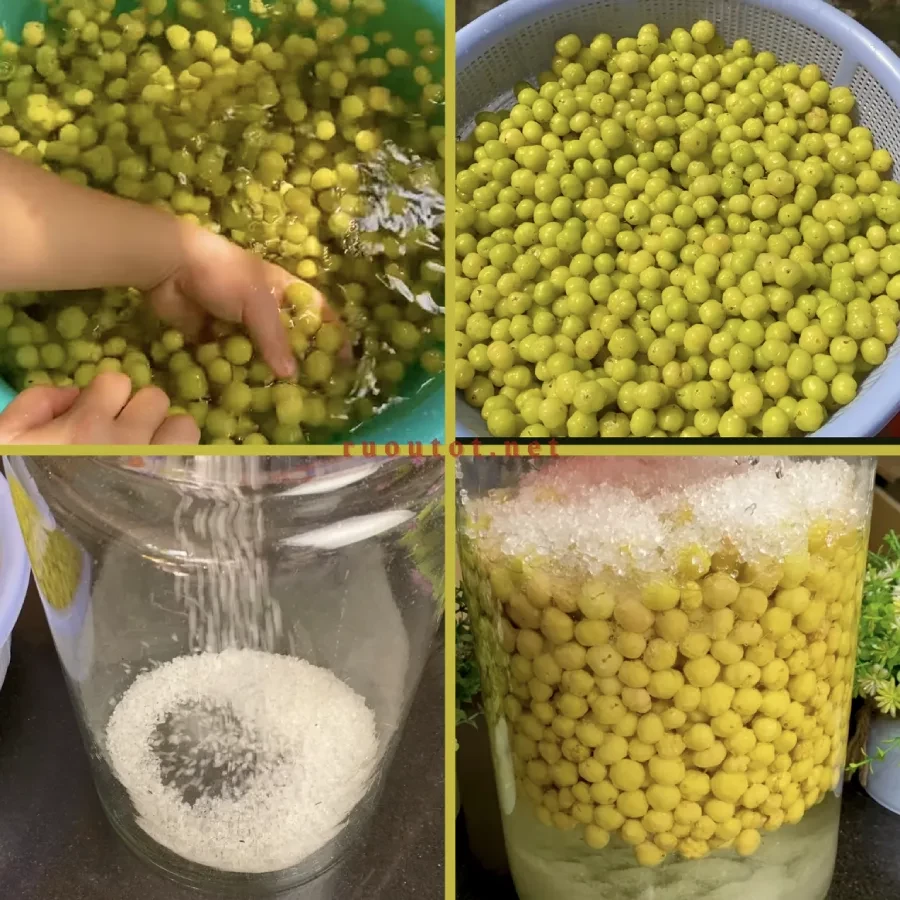 cách ngâm rượu chùm ruột