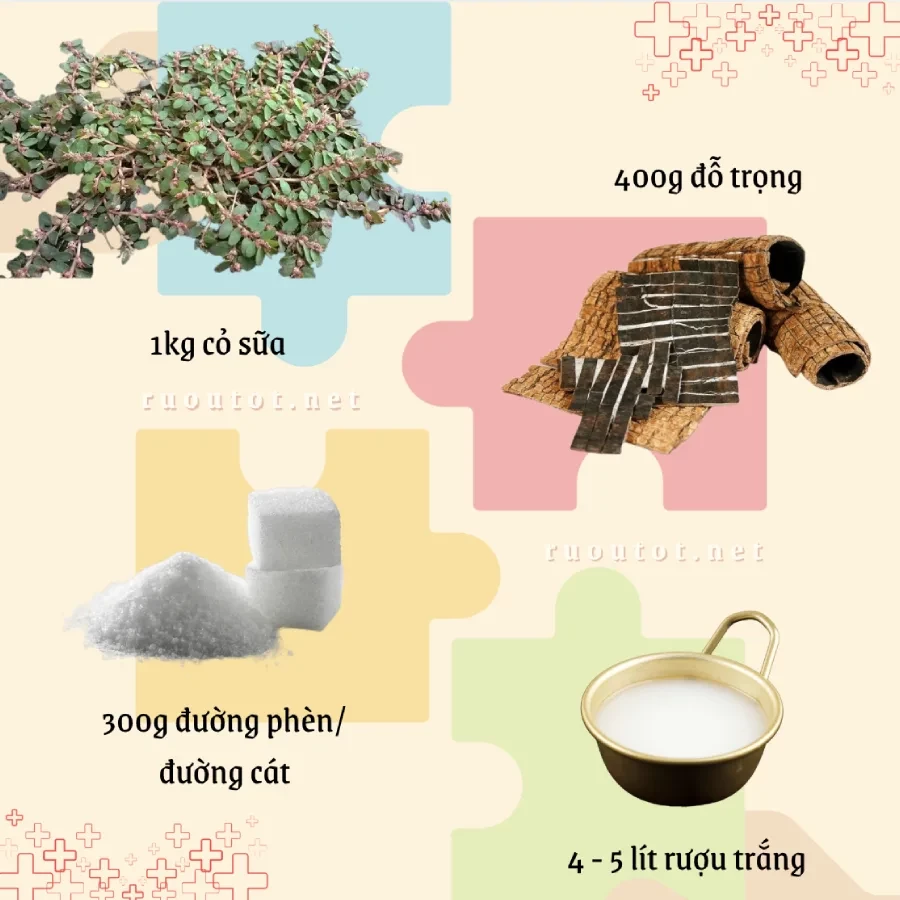cách ngâm rượu cỏ sữa với đỗ trọng