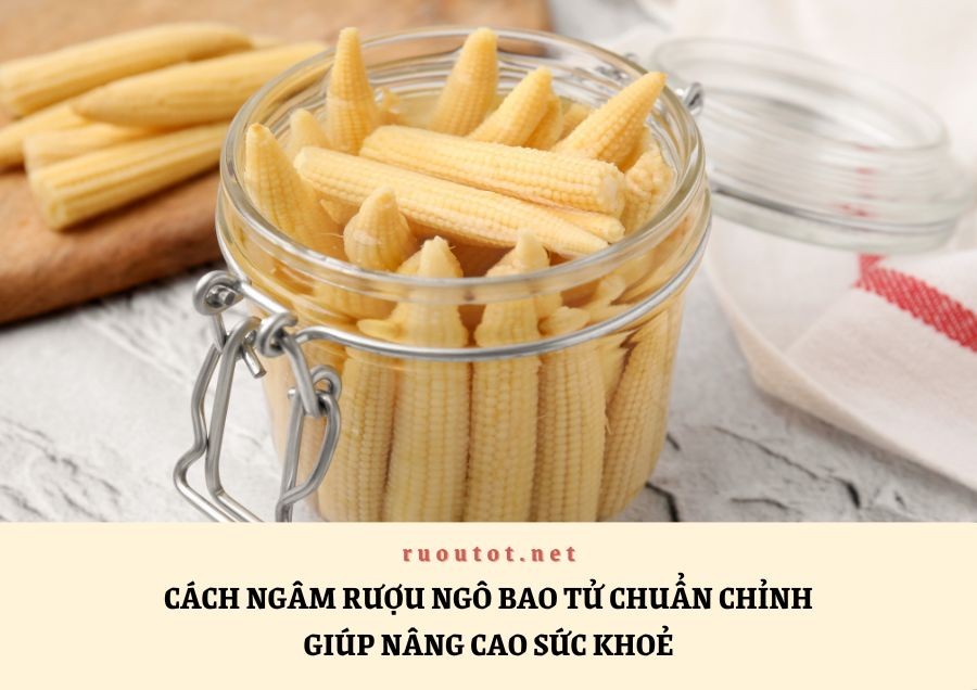 Cách Ngâm Rượu Ngô Bao Tử Chuẩn Chỉnh Giúp Nâng Cao Sức Khoẻ