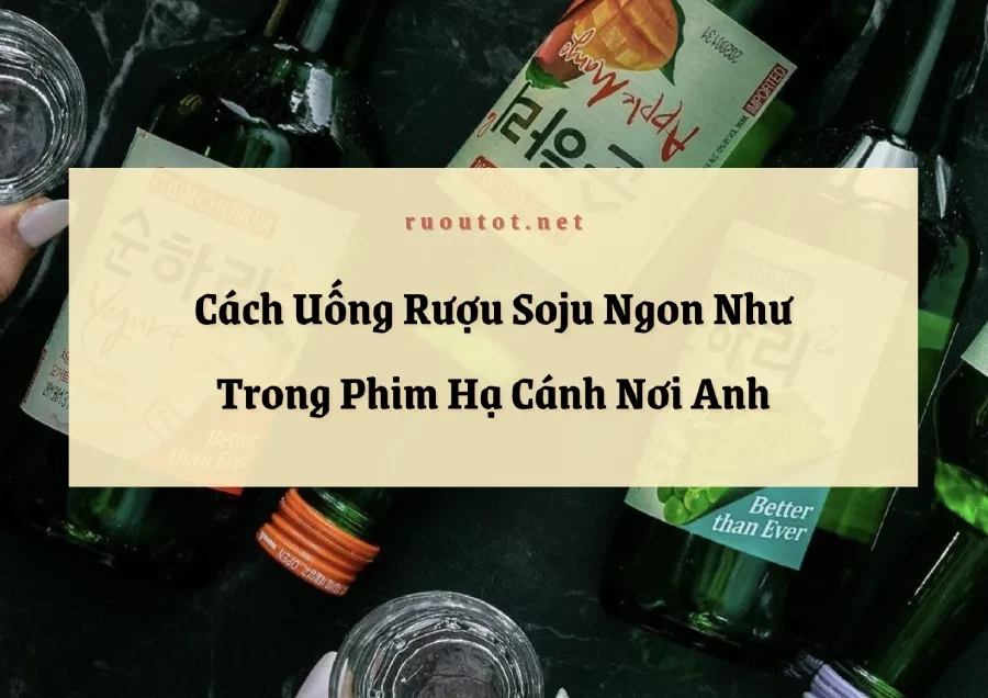 Cách Uống Rượu Soju Ngon Như Trong Phim Hạ Cánh Nơi Anh