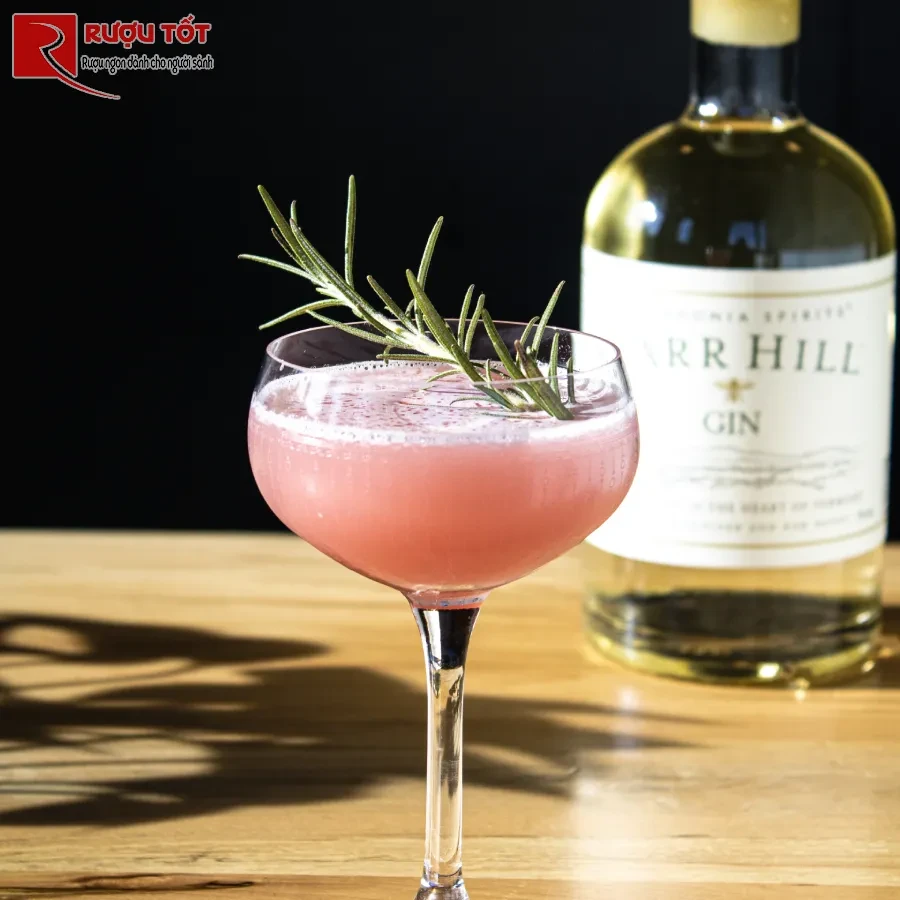 cocktail gin