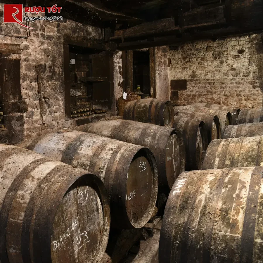 cognac ruou