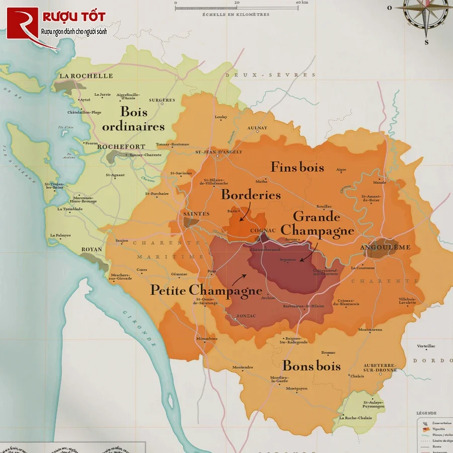 cognac tai phap