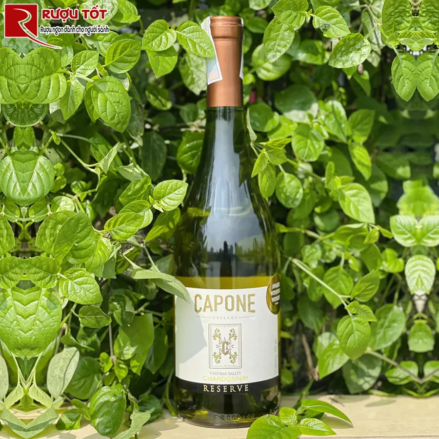 combo rượu vang Capaccio 950.000Đ