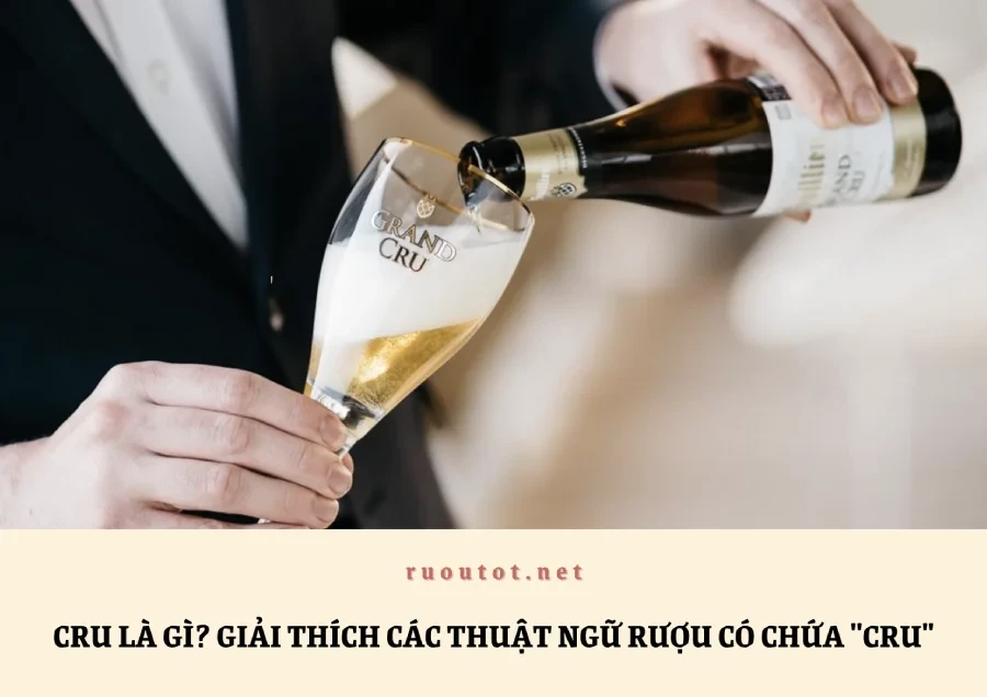 Cru là gì? Giải thích các thuật ngữ rượu có chứa "Cru"