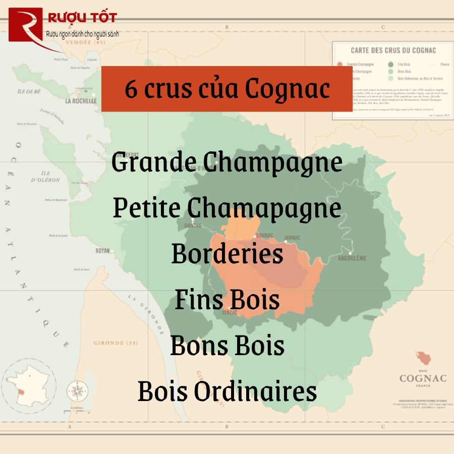 cru rượu cognac la gi