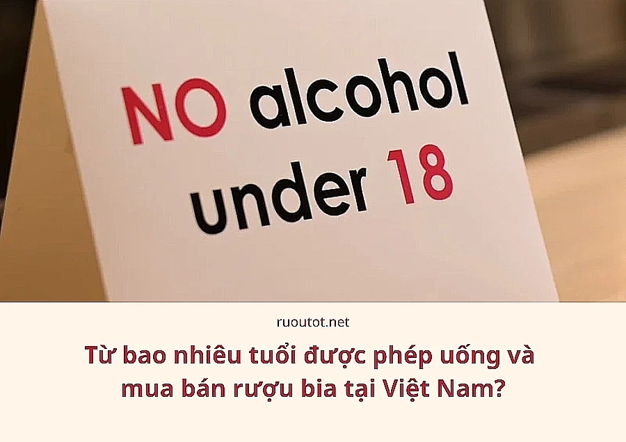 Từ Bao Nhiêu Tuổi Được Phép Uống Và Mua Bán Rượu Bia Tại Việt Nam?