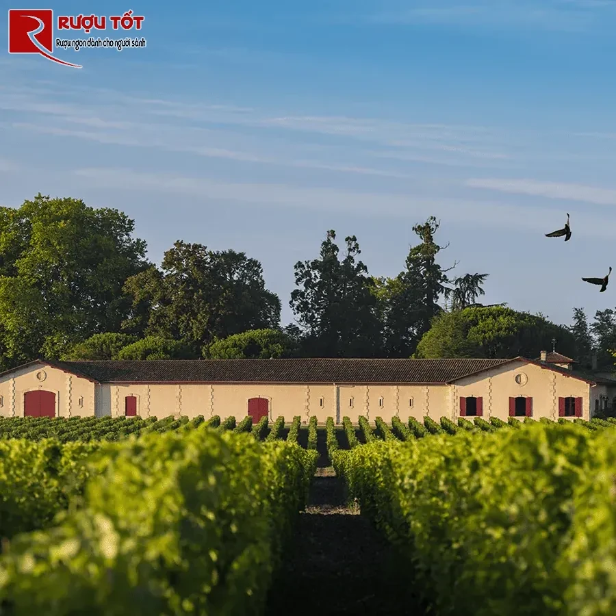 Domaine d'Espérance