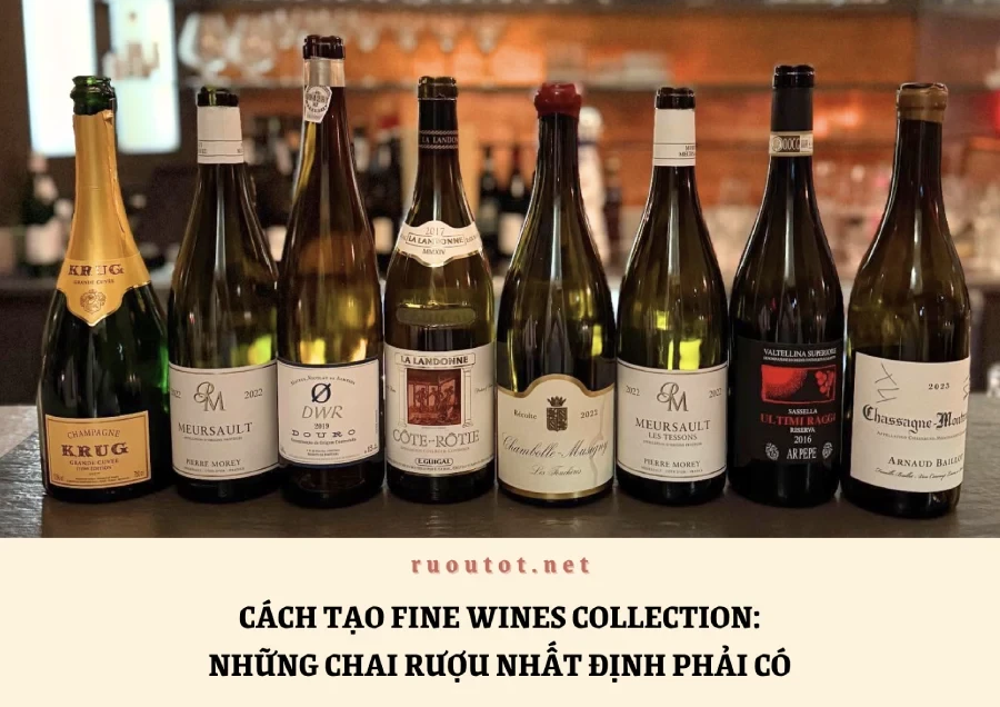 Cách Tạo Fine Wines Collection: Những Chai Rượu Nhất Định Phải Có