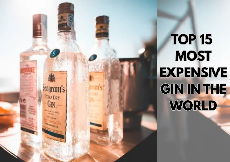 Top 15 Chai Rượu Gin Đắt Nhất Thế Giới