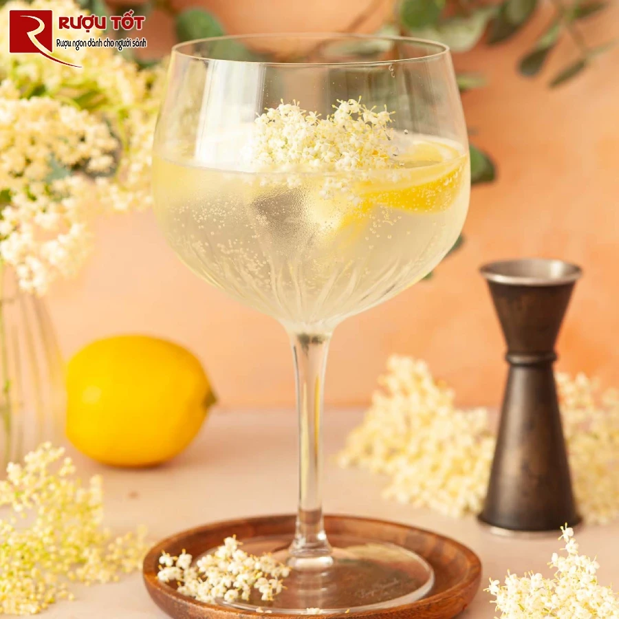 gin terms