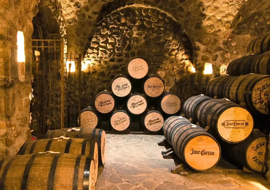 Vì Sao Hầm Ủ Tequila Dưới Lòng Đất Vẫn Được Duy Trì Cho Đến Nay?