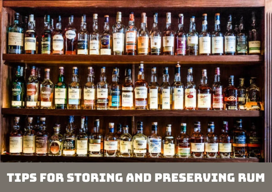 Rum Trắng, Rum Vàng Và Rum Đen: Loại Nào Có Hạn Sử Dụng Lâu Hơn?