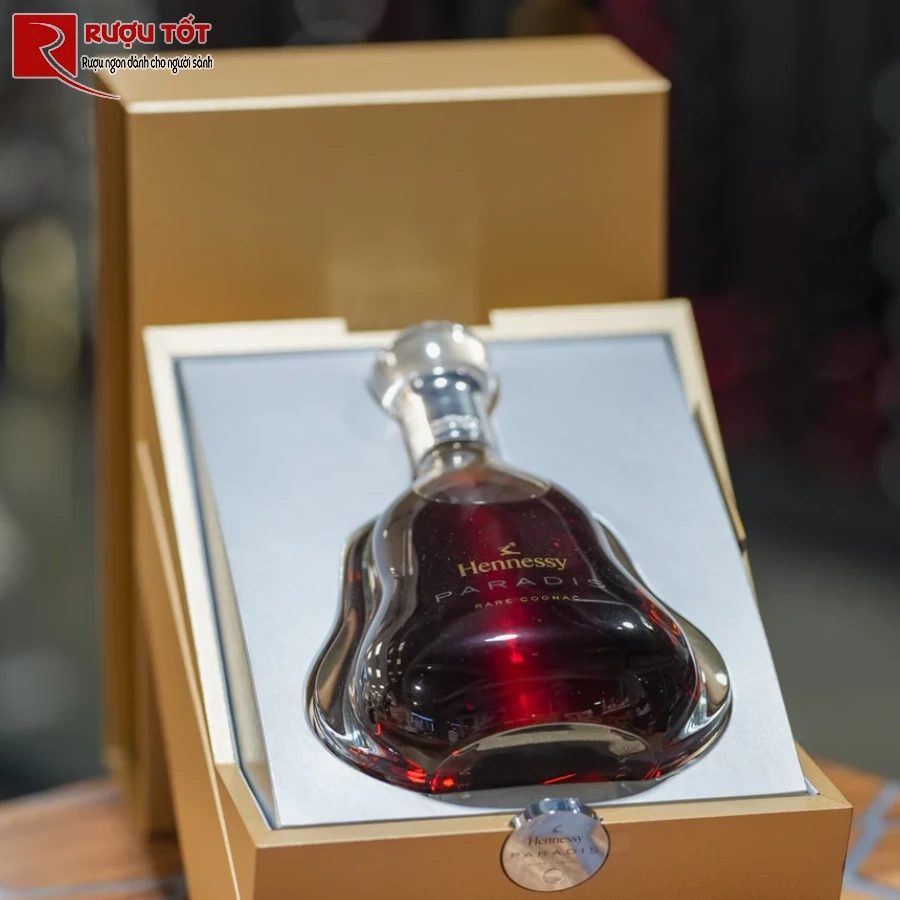 hennessy paradis