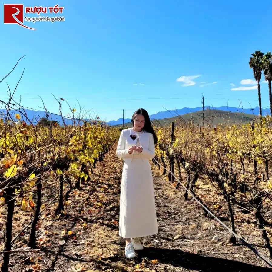 kham pha van loveren tai noi san xuat ruou