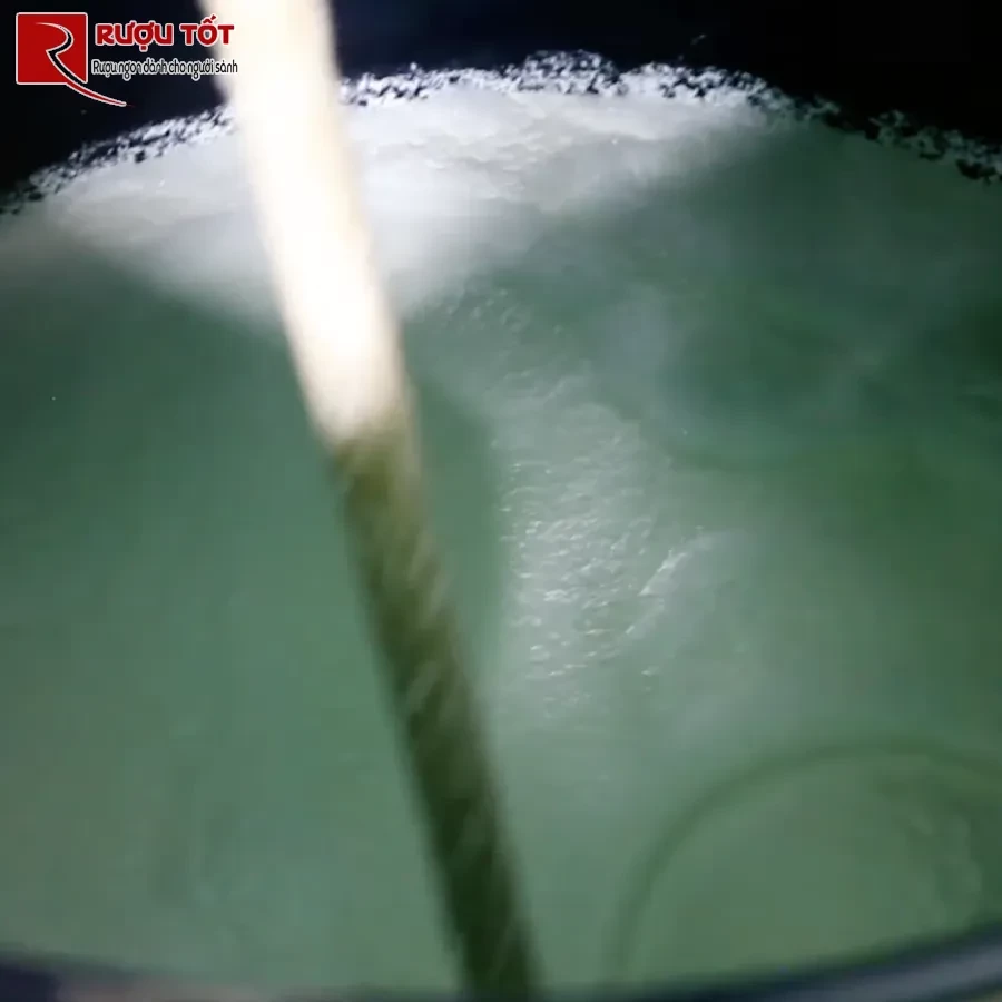 lên men làm rượu sake