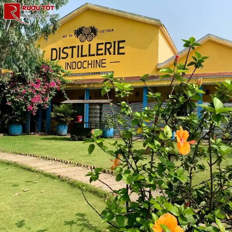 nhà máy rượu rum việt nam