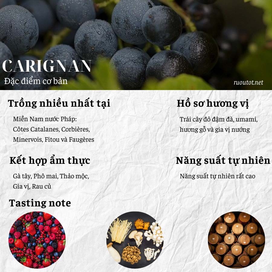 Nho Carignan