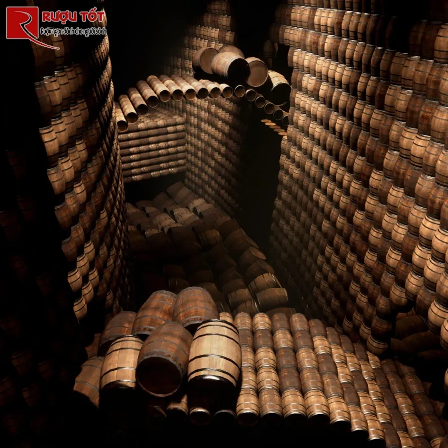 paradis cellar
