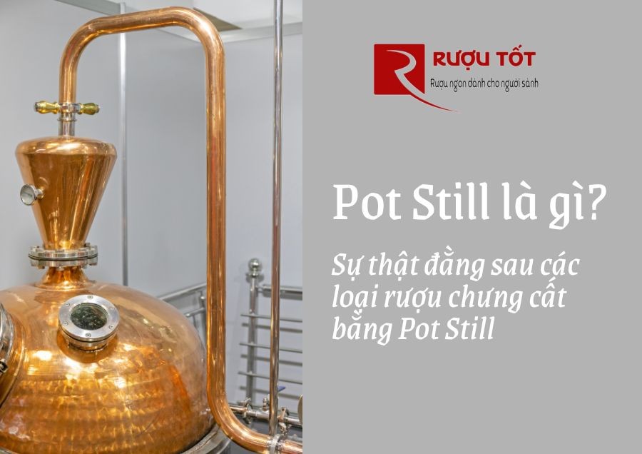 Pot Still là gì? Sự thật đằng sau các loại rượu chưng cất bằng Pot Still