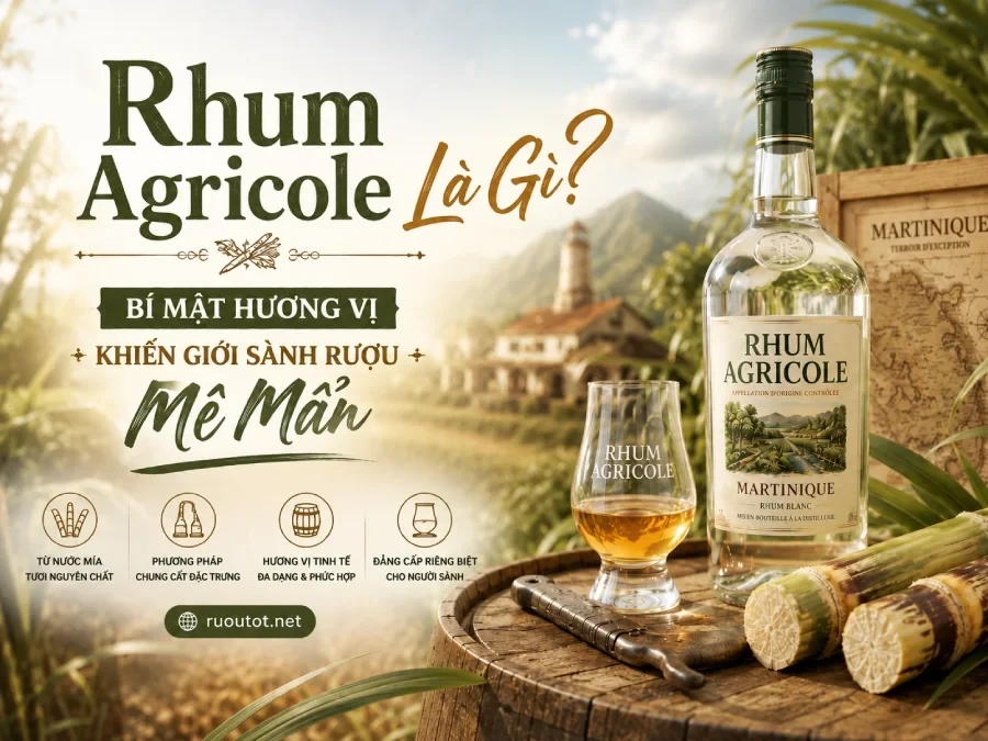 Rhum Agricole Là Gì? Bí Mật Hương Vị Khiến Giới Sành Rượu Mê Mẩn
