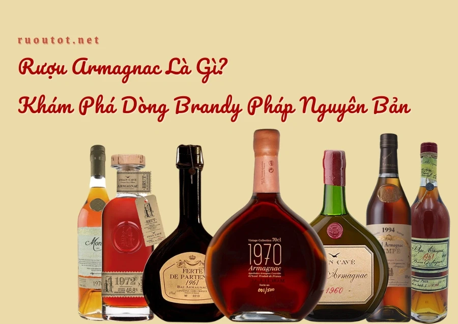 Rượu Armagnac Là Gì? Khám Phá Dòng Brandy Pháp Nguyên Bản