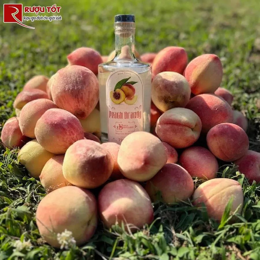 ruou brandy trai cay