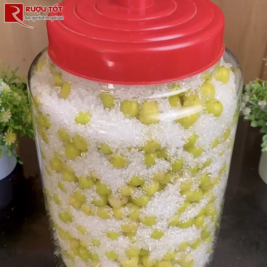 rượu chùm ruột có tác dụng gì