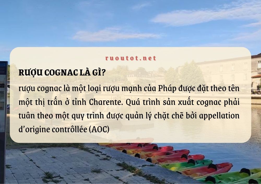 Rượu Cognac là gì? Giải mã độ nổi tiếng của rượu Cognac tại Việt Nam