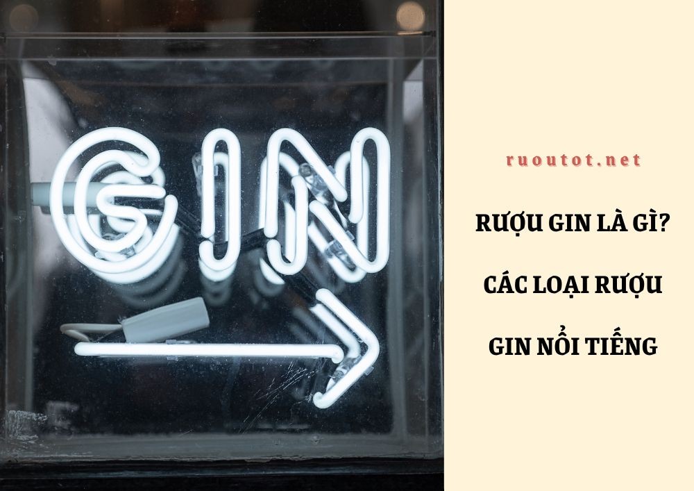 Rượu gin là gì? Các loại rượu Gin nổi tiếng