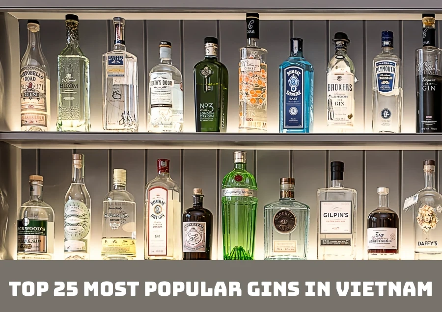 Top 25 Loại Rượu Gin Được Ưa Chuộng Nhất Việt Nam