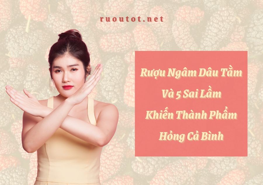 Rượu Ngâm Dâu Tằm Và 5 Sai Lầm Khiến Thành Phẩm Hỏng Cả Bình