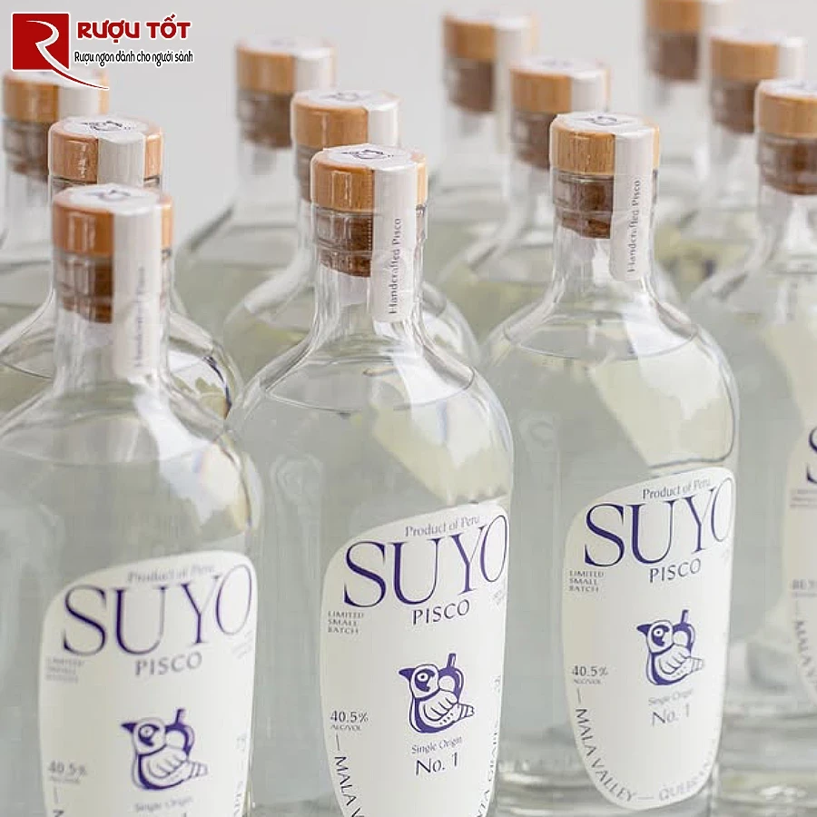 ruou pisco gia tot