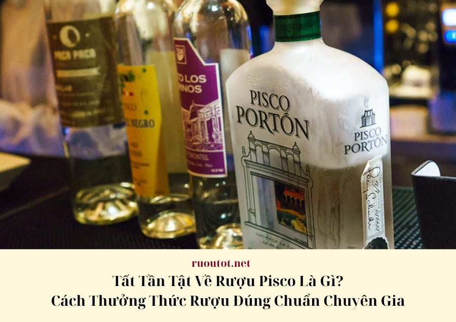 Tất Tần Tật Về Rượu Pisco Là Gì Và Cách Thưởng Thức Chuẩn