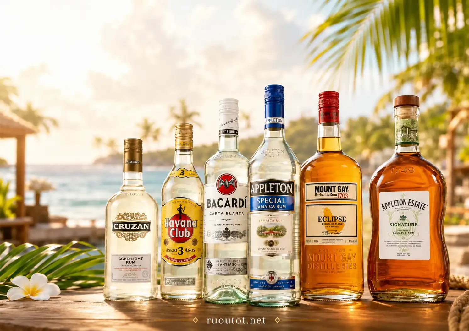 Top 10 Chai Rượu Rum Vùng Caribbean Cực Ngon Dành Cho Người Mới