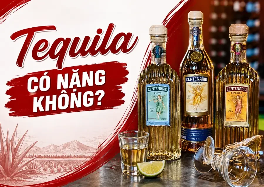 Tequila Có Nặng Không? Sự Thật Về Nồng Độ Cồn Và Cảm Giác Uống