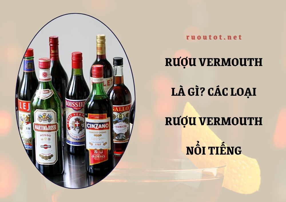 Rượu vermouth là gì? Các loại rượu vermouth nổi tiếng